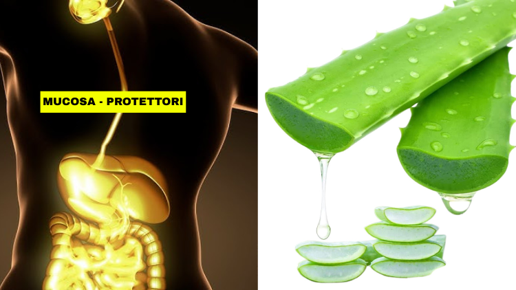 Senza titolo (750 x 422 px) (6)